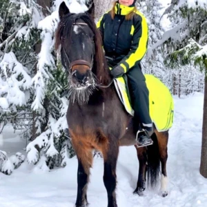 Ridoverall - Säljer en svart och neongul ridoverall från hööks. Overallen har lång ärm, hög krage och dragkedja framtill + baktill. Perfekt för ridning ute i skogen  och syns bra i mörker tack vare den starka färgen. Storlek S och passar mig perfekt i längden som är 163. Lite använd.🩷Nypris: 2500Kr