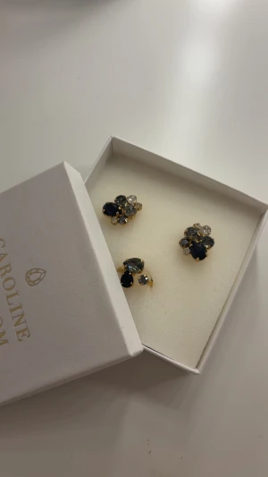 Helt nya Caroline Svedbom Örhängen  - Säljer dessa jättefina örhängen ifrån Caroline Svedbom pga av att aldrig används. Örhängena kommer i originalförpackningen, skriv för bilder❣️❣️