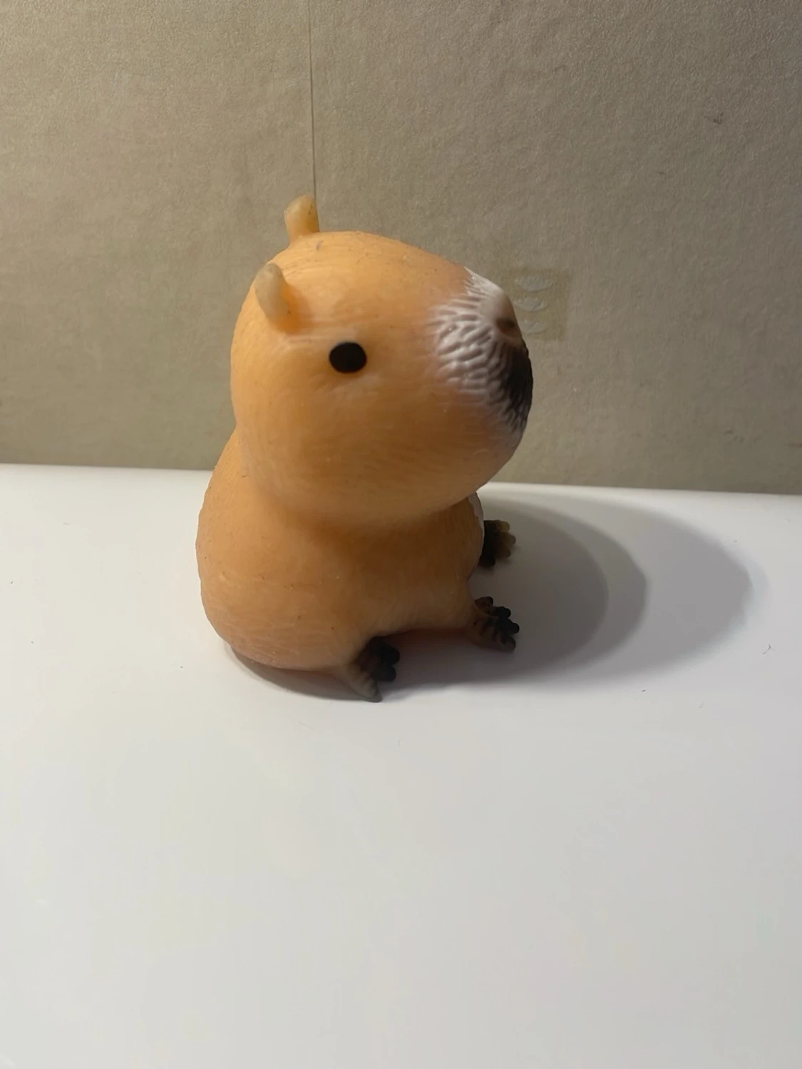 Kapybara squishy  - 3