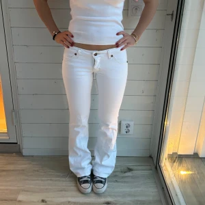 Vita bootcut jeans  - Vita Wrangler jeans 