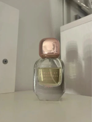 Parfym - Parfym från Zara i doften Fields at nightfall blush 