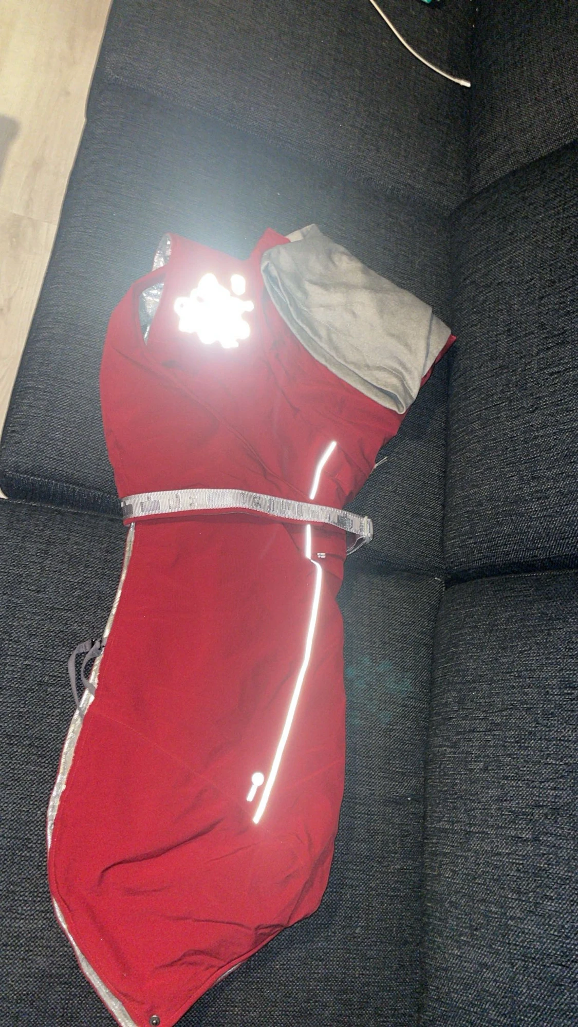 Vinter täcke hund - 1