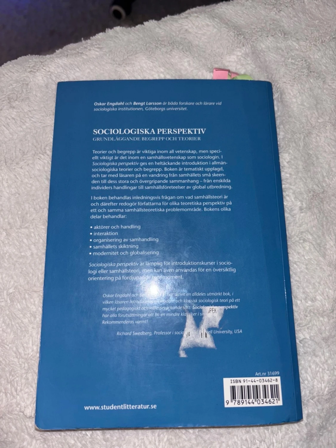 Sociologiska perspektiv: Grundläggande begrepp och teorier - 1