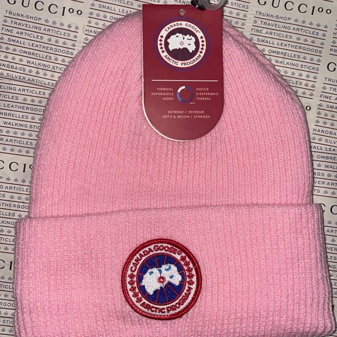 Canada goose vintermössa 