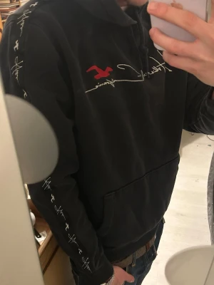 Hollister must have collection hoodie - Model height 175cm