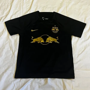 Nike x Redbull t-shirt - En riktigt schysst träningströja Nike x Redbull. Tröjan är aldrig använd. 