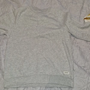 Ljusgrå sweatshirt från 157 Club 1000 - En stilren ljusgrå sweatshirt från 157 Club 1000. Tröjan har rund hals, långa ärmar och en liten logotyp vid nederkanten. Perfekt basic-plagg i mjuk bomullsblandning som funkar året runt.