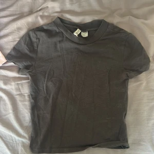 Mörkgrå basic t-shirt från hm - En enkel och stilren mörkgrå t-shirt från hm. Modellen är klassisk med rund halsringning och korta ärmar. Perfekt att matcha med jeans eller kjol för en clean look.