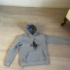 Ralph Lauren hoodie  - Grå Ralph lauren hoodie skit snygg det är L men passar mer som en M pga av tvättad ect jag är 180 70 kg och passar mig ganska perfekt om ni vill se den på är det bara att fråga väldigt skön och mjuk perfekt nu när det blir kallare 