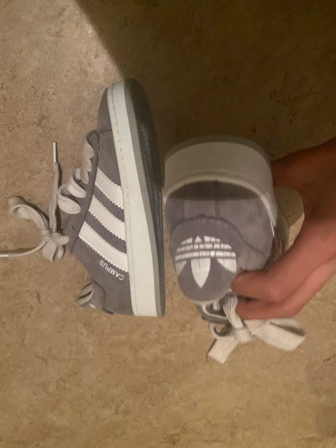 Grå Adidas Campus sneakers - 4