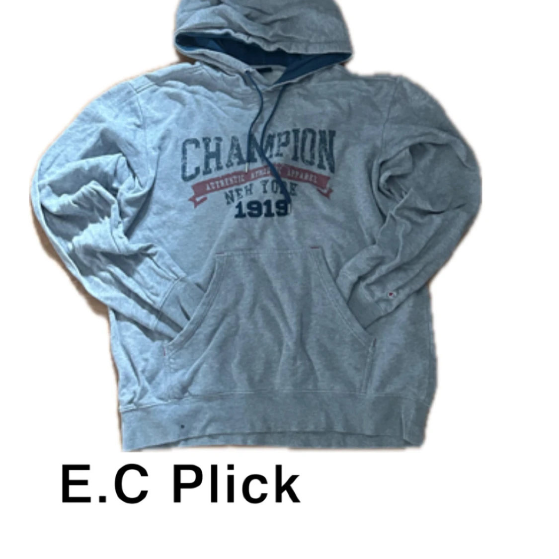 Champion hoodie