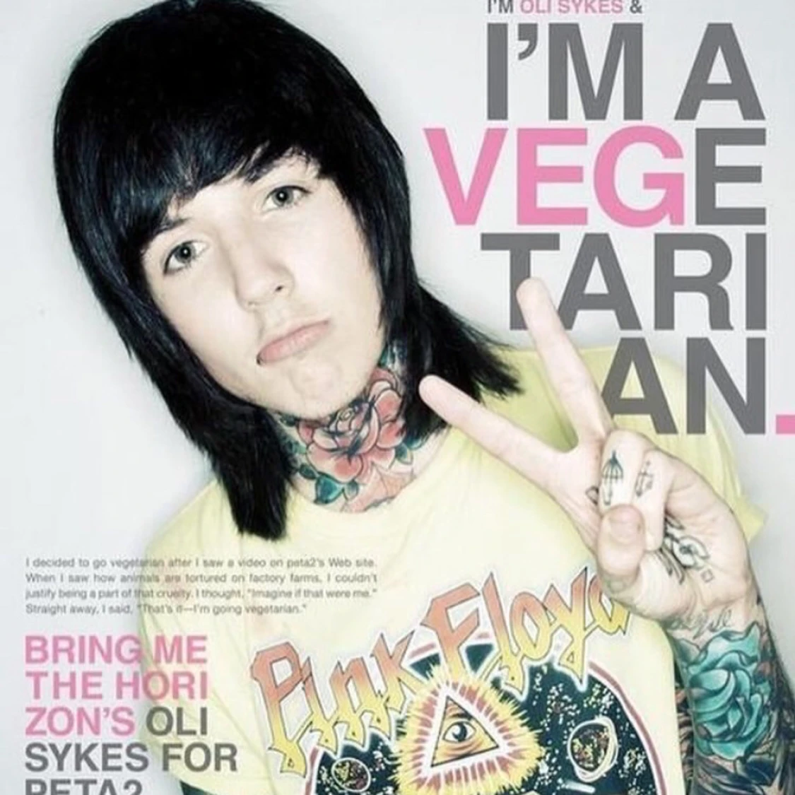 Rare Meat sucks drop dead t shirt  (2008) - 4