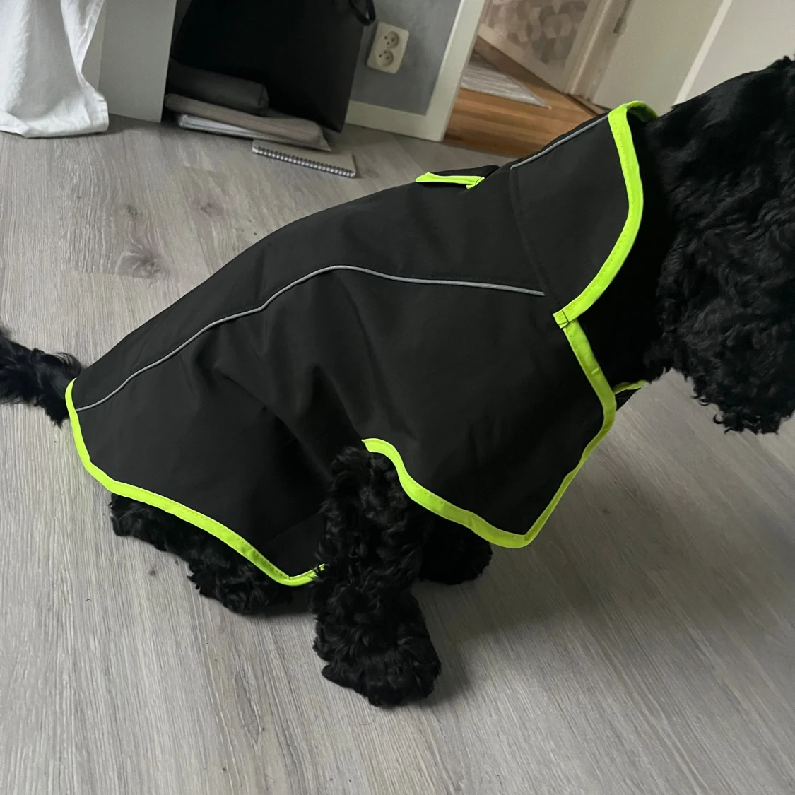 Svart regnjacka till hund från Pet Leisure - 2