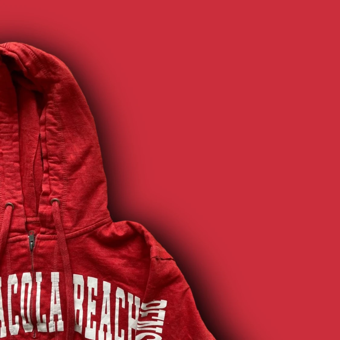 Vintage Hoodie ”Florida” - 91