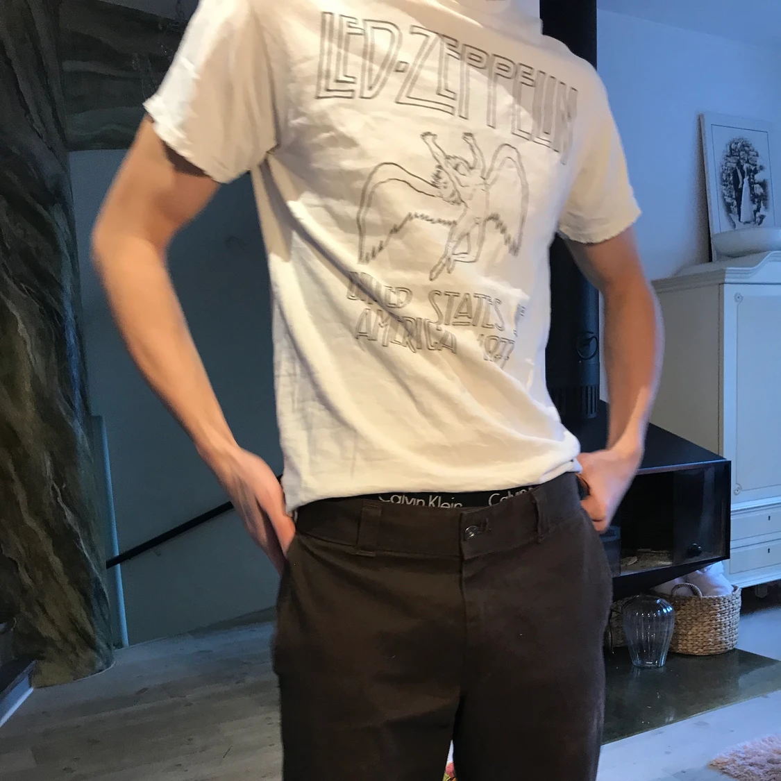 Ledzeppelin tröja  - 90