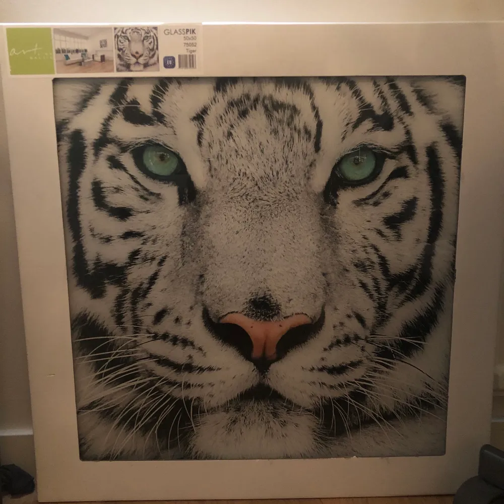 Jag säljer dessa två tavlor för 300 kr tillsammans, den ljusa tigernn på andra bilden är i glastavla. #tavlorstycken. Övrigt.