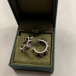 Edblad örhängen  - från Edblad💕💕💕 köpt för 350kr tror jag. Bud från 200kr ifall fler blir intresserade!!!