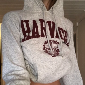 Tröja från HM - Assnygg tröja från HM, vintage stil, frakt tillkommer!