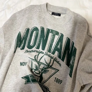 Grå sweatshirt - Grå sweatshirt med grönt tryck från bershka i storlek S. Första bilden är lånad och dom andra två visar hur den sitter på mig. Säljer för 180 kr eller högsta bud (köparen står för frakten)😌