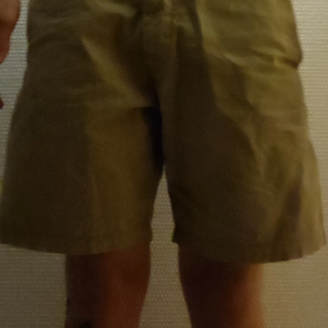 Carhartt wip shorts - 91