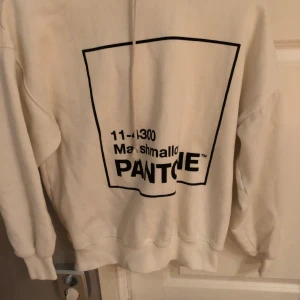 Vit hoodie  - Vit Hoodie med text på framsidan. Storlek S, oversized i modellen.