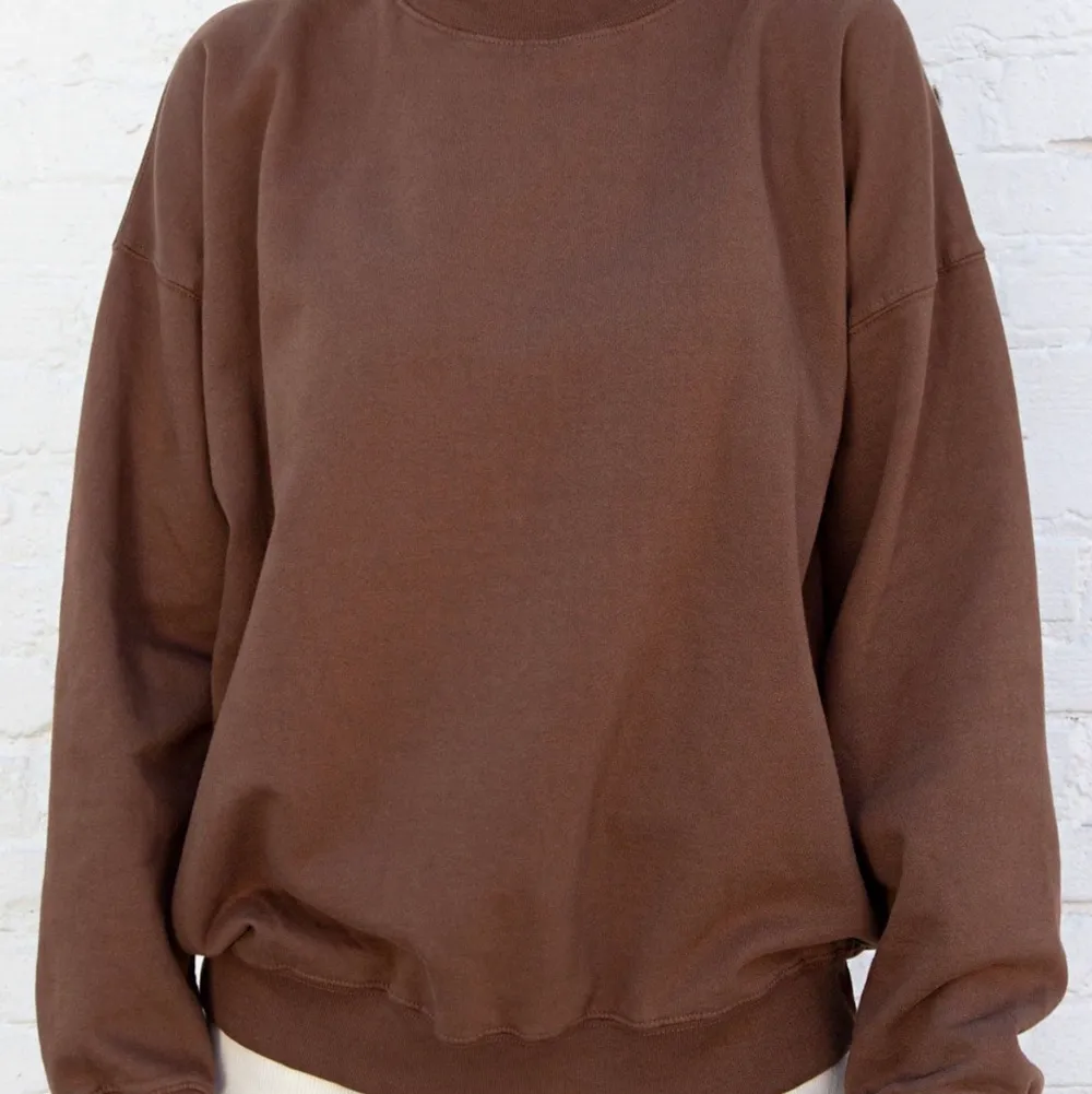 Brun Brandy Melville sweatshirt🤎 väldigt bra skick!. Hoodies.