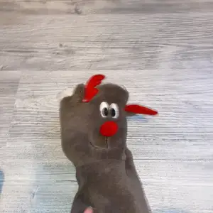 Rudolf inne skor
