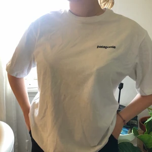 Tröja från Patagonia - Svincool tröja från Patagonia. Använd ett fåtal gånger men ser ut som nyskick. Snyggt att matcha med jeansshorts. 