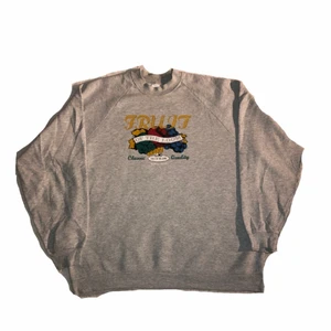 Fruit on the loom - vintage sweatshirt - En perfekt grå sweatshirt med ett coolt tryck från fruit on the loom. Färglatt men ändå subtil. Tyget är tjockt och med hög kvalitet. Köpt på en secondhandbutik i usa
