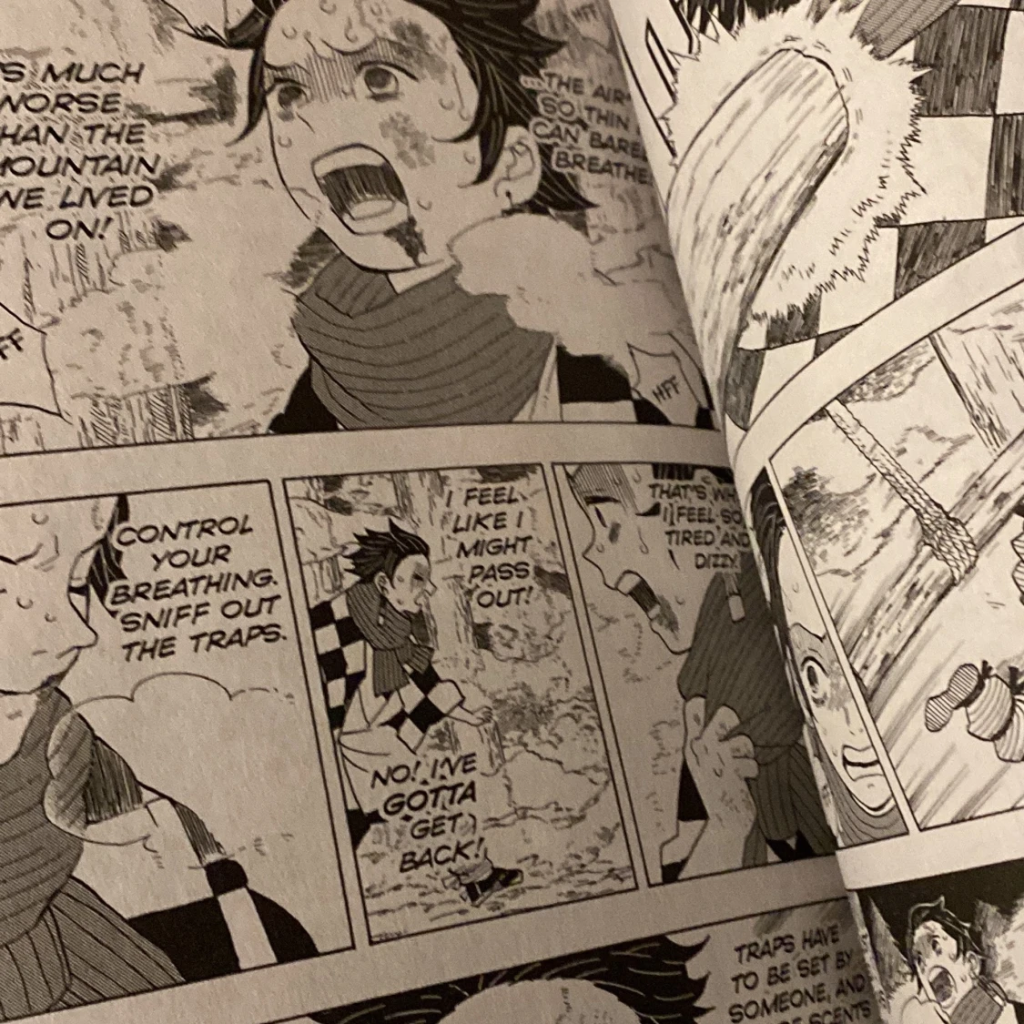 Demonslayer och ouran host club - 91