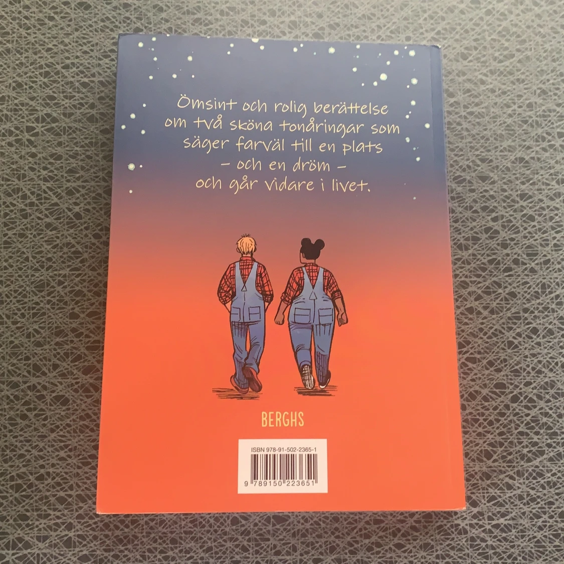 Sista chansen grafisk bok - 90