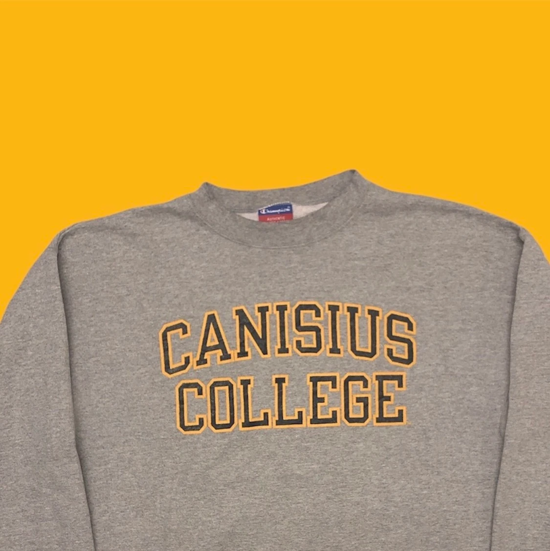 Champion Sweatshirt!! 🌱🌱 - 90