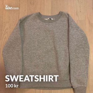 B. Young sweater  - Sælfger denne grå sweater fra b.Young. Den er aldrig blevet brugt, og derfor ingen tegn på slid.                                                       Mindste pris : 100kr.            Ny pris : 250kr