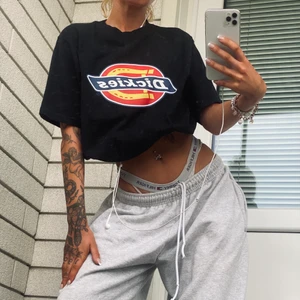 Dickies T-shirt från Junkyard - Svart T-shirt märke Dickies. Strl S (Mansavd. så en kvinnlig M)