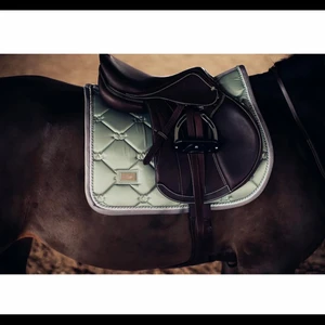 Equestrian stockholm scahbrak  - Säljer mitt Equestrian stockholm scahbrak i färgen pistage. Mycket fint skick! Färgen går ej att köpa nytt i butik. Storlek full ( hoppmodell ) 500kr + eventuell frakt 