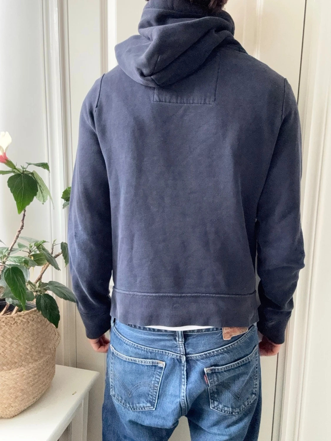 Hollister hoodie  - 1