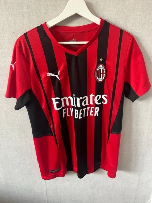 AC Milan matchtröja Puma röd/svart - Snygg AC Milan matchtröja från Puma i rött och svart med klassiska vertikala ränder. Tröjan har klubbmärke och Puma-logga på bröstet samt sponsortryck framtill. Tillverkad i lätt och ventilerande funktionsmaterial. Perfekt för fotboll eller träning.
