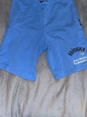 Blå Hoodrich shorts med tryck - Säljer ett par blå shorts från Hoodrich med tryck på vänster ben där det står 'Hoodrich' och 'From Nothing To Something'. Shortsen har resår i midjan med dragsko och är gjorda i mjukt bomullsmaterial. Perfekta för en avslappnad stil.