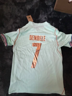Frankrike Dembele matchtröja Nike - Ljusblå matchtröja från Nike med Frankrikes landslagsemblem och nummer 7 Dembele på ryggen. Tröjan har korta ärmar med röd, vit och blå detalj, samt officiella turneringsmärken på ärmarna. Perfekt för fotbollsfans!