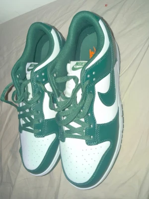Nike Dunks Green Grön Pine 42 - 😃 fri frakt