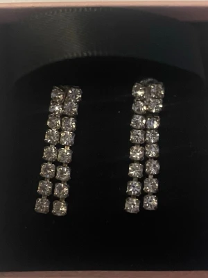 Glittriga hängande örhängen - Säljer ett par glittriga örhängen med två rader av klara stenar i varje örhänge. De är silvriga och har en rektangulär, hängande form som ger ett elegant intryck. Perfekta för dig som gillar att sticka ut med accessoarer.