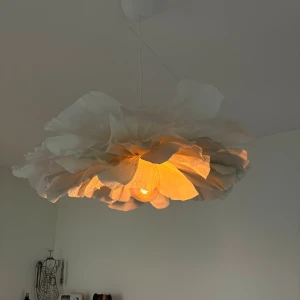 Taklampa - Hej!   Jag tänkte försöka sälja mina egengjorda taklampor, som den på bilden.🌸🌼  💡finns massor av färgkombinationer att välja bland! 💡gjorda av Crepe-papper, säkert om man använder sig av en LED lampa. 💡lampa eller sladd ingår inte 💡hämtas i Bromölla, kanske kan skickas! 💡görs efter förfrågan