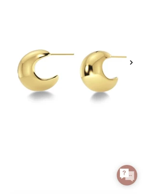 guldiga örhängen från edblad - supersnygga örhängen från edblad, i superbra skick, köpta för 400. skriv för fler bilder eller funderingar! 💞