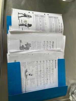 Blå mapp med noter och sånghäften - En blå plastmapp fylld med utskrivna noter och sånghäften. Pappren har hål för pärm och innehåller både text och noter, samt svartvita illustrationer. Perfekt för dig som gillar att spela eller sjunga och vill ha samlingen samlad. Gitarr för nybörjare  med många bra inlärningspapper