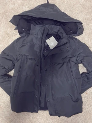 Svart pufferjacka från Canada Goose - Säljer en svart pufferjacka från Canada Goose med avtagbar huva och diskret logotyp på ärmen. Jackan har dragkedja och tryckknappar framtill samt två stora fickor. Perfekt för kalla vinterdagar och riktigt snygg streetstil. Pris går att diskuteras