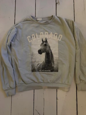 Grå sweatshirt med hästmotiv - 0versized grå sweatshirt med tryck av en häst och texten 'COLORADO' samt 'HIKE AND ADVENTURE' på bröstet. Tröjan har rund halsringning och ribbade muddar vid soppar och nederkant. Perfekt för dig som gillar djur och coola prints.