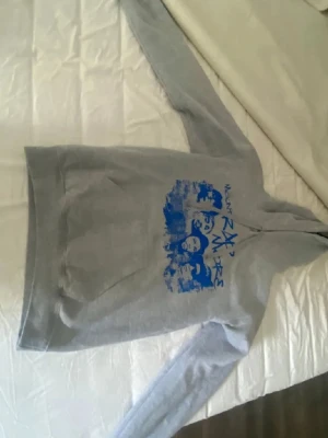 Grå hoodie med blått tryck - Grå hoodie med as snyggt tryck! tyvärr har jag inte snörena till hoodien men annars i super super bra skick! 