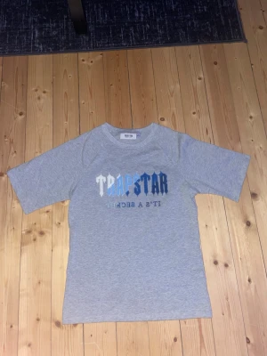 Grå Trapstar t-shirt med tryck - Säljer en grå t-shirt från Trapstar med stort tryck i vitt och blått på bröstet. T-shirten har normal passform och är kortärmad. Perfekt för dig som gillar streetwear och vill ha något stilrent men ändå med edge.