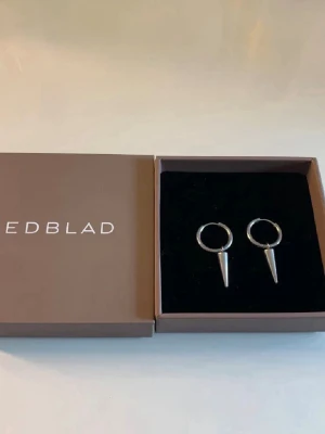 Silvriga örhängen från Edblad - Säljer mina silvriga örhängen från edblad. Pris kan diskuteras!