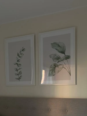 Två botaniska posters 50x70 - Säljer två stilrena posters med botaniska motiv i grönt! EJ RAM!!!! 50x70